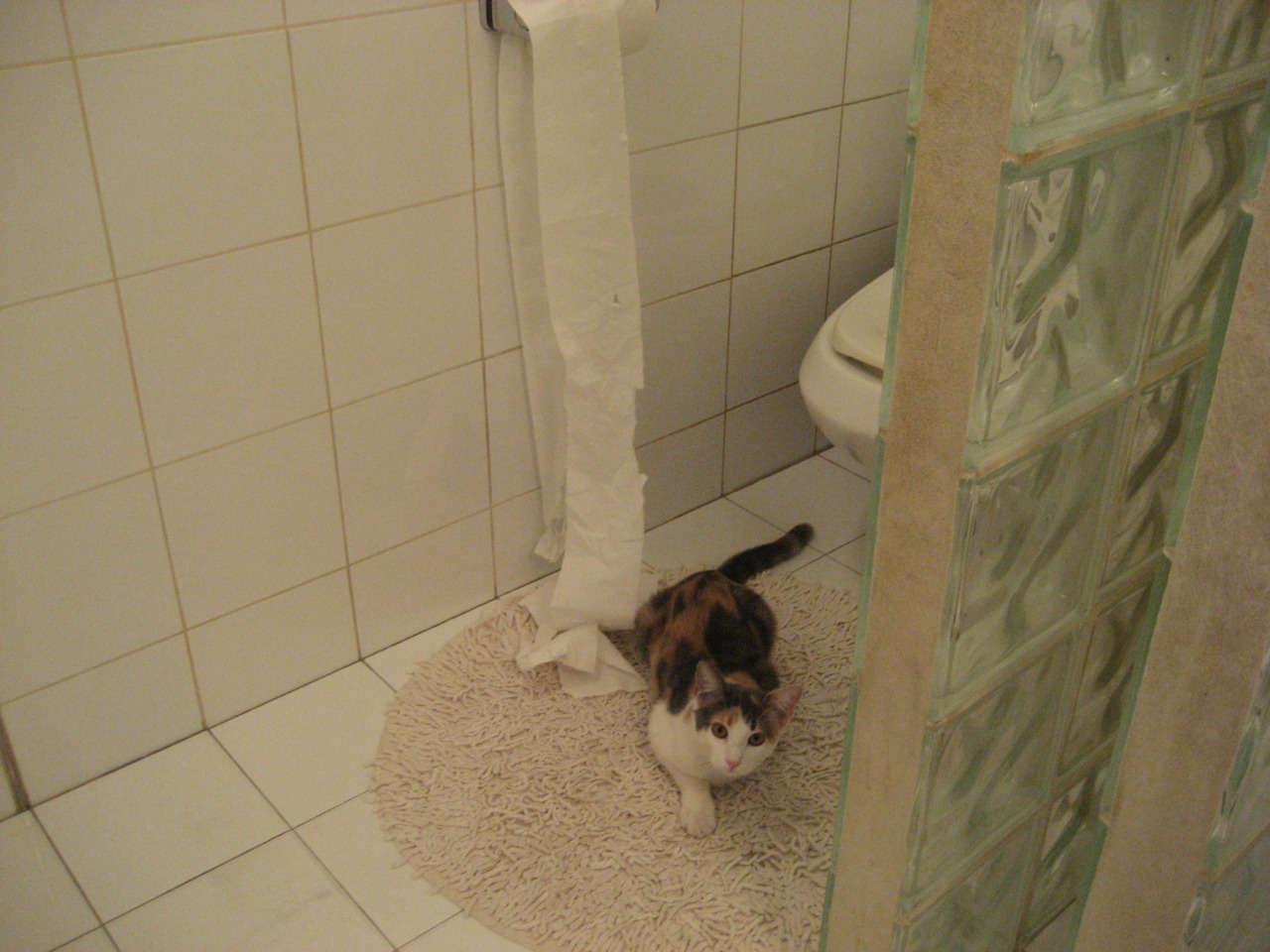 勇士球员牵头创建“篮球梦想基金会”,支持边远地区,勇士队追梦是谁