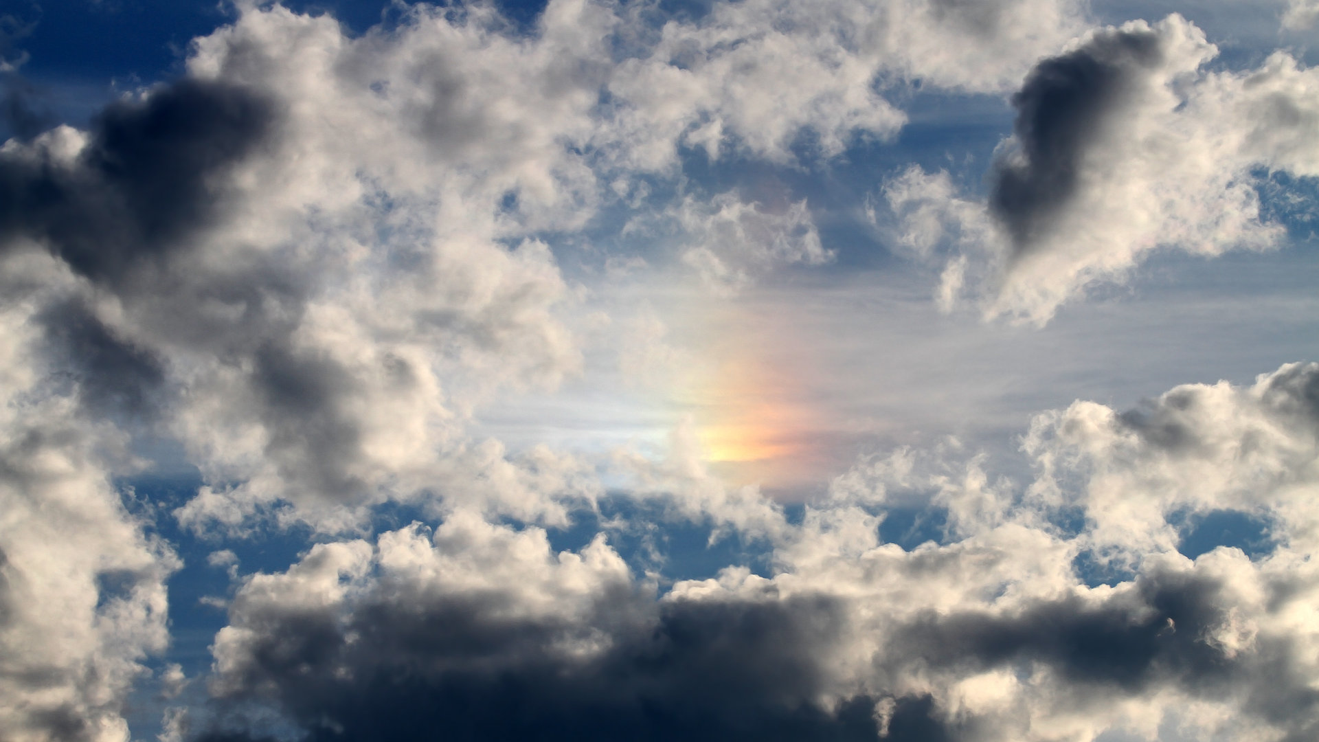 勇士球员牵头创建“篮球梦想基金会”,支持边远地区,勇士队追梦是谁