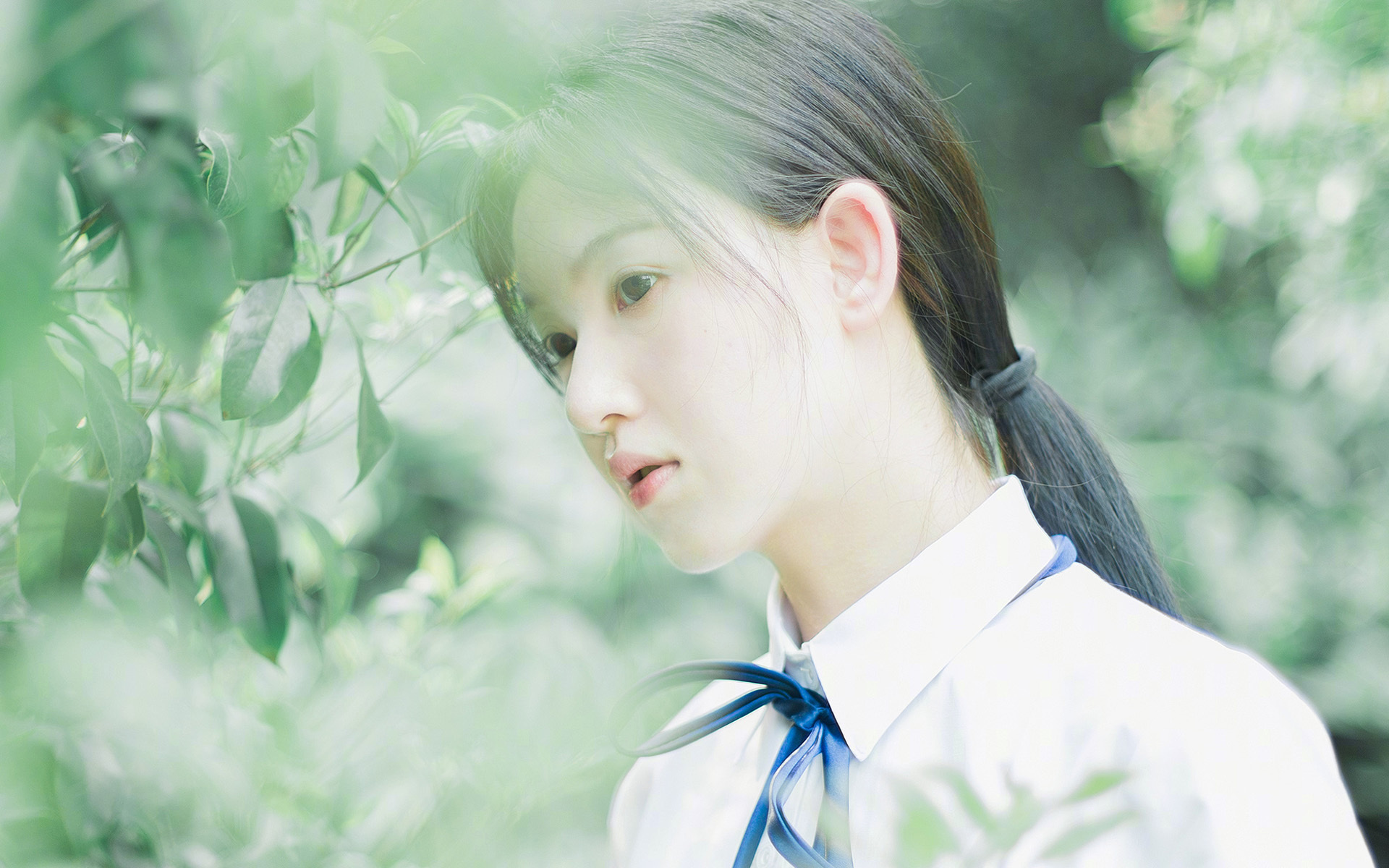 勇士球员牵头创建“篮球梦想基金会”,支持边远地区,勇士队追梦是谁